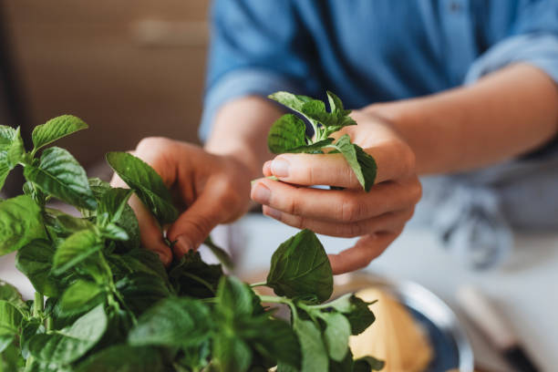 gardening for chefs