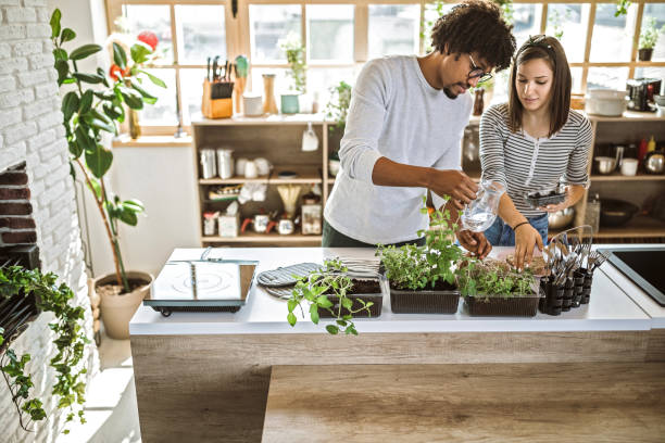 Cooking with homegrown herbs